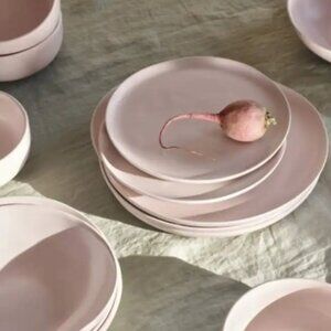 Fable 16 Piece Dinnerware Set Blush Pink